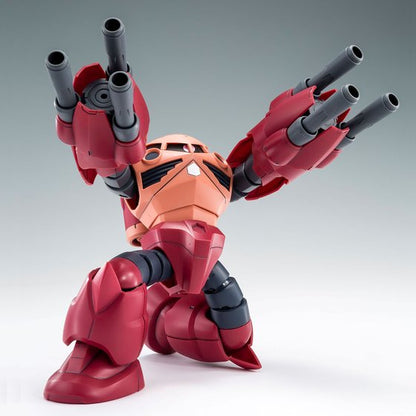 HGBF Amazing Z'Gok
